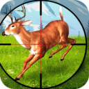 狙击非常普通的鹿